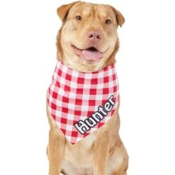 Frisco Gingham Personalized Dog & Cat Bandana -Cat Toy Shop 258775 PT6. AC SS1800 V1619558303