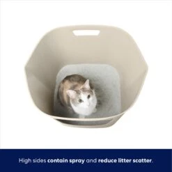Frisco Leaf High-Sided Cat Litter Box, Large -Cat Toy Shop 258782 PT2. AC SS1800 V1675279643