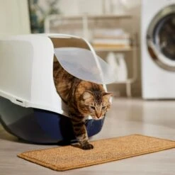 Frisco Sisal Mat 8 Frisco Sisal Mat -Cat Toy Shop 259250 PT3. AC SS1800 V1675279993