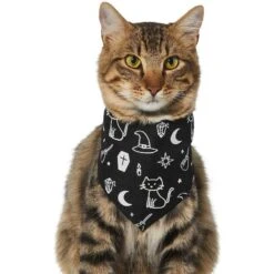 Frisco Glow In The Dark Mystical Print Dog & Cat Bandana -Cat Toy Shop 261218 PT2. AC SS1800 V1633086982