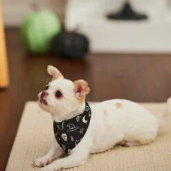 Frisco Glow In The Dark Mystical Print Dog & Cat Bandana -Cat Toy Shop 261218 PT5. AC SS1800 V1633057869