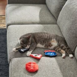 Frisco Road Trip Traffic Signs Plush Cat Toy With Catnip -Cat Toy Shop 262024 PT3. AC SS1800 V1618598335