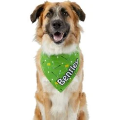 Frisco Golf Personalized Dog & Cat Bandana -Cat Toy Shop 263017 PT6. AC SS1800 V1619557636