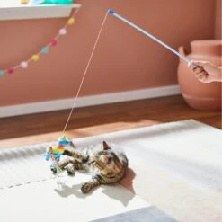 Frisco Pinata Teaser Wand Cat Toy With Catnip -Cat Toy Shop 264446 PT3. AC SS1800 V1618948636
