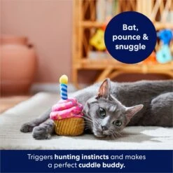 Frisco Birthday Cupcake Plush Cat Toy With Refillable Catnip -Cat Toy Shop 264456 PT5. AC SS1800 V1691785246