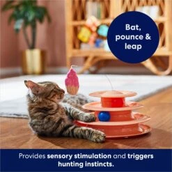 Frisco Birthday Cat Tracks Cat Toy -Cat Toy Shop 264460 PT5. AC SS1800 V1691785246