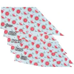 Frisco Watermelons Personalized Dog & Cat Bandana -Cat Toy Shop 267458 PT4. AC SS1800 V1632428809