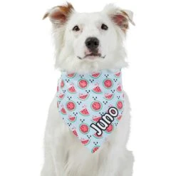 Frisco Watermelons Personalized Dog & Cat Bandana -Cat Toy Shop 267458 PT6. AC SS1800 V1632432415