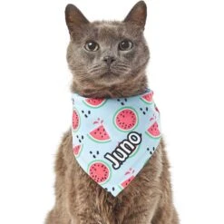 Frisco Watermelons Personalized Dog & Cat Bandana -Cat Toy Shop 267458 PT7. AC SS1800 V1632432684