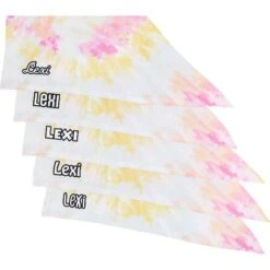 Frisco Tiedye Personalized Dog & Cat Bandana -Cat Toy Shop 267482 PT4. AC SS1800 V1632416499