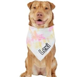 Frisco Tiedye Personalized Dog & Cat Bandana -Cat Toy Shop 267482 PT6. AC SS1800 V1632428490