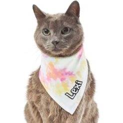 Frisco Tiedye Personalized Dog & Cat Bandana -Cat Toy Shop 267482 PT7. AC SS1800 V1632420107