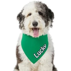 Frisco Solid Color Personalized Dog & Cat Bandana -Cat Toy Shop 267489 PT6. AC SS1800 V1632418582