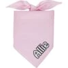 Frisco Solid Pastel Personalized Dog & Cat Bandana