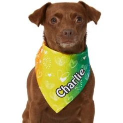 Frisco Rainbow Hearts Personalized Dog & Cat Bandana -Cat Toy Shop 267539 PT5. AC SS1800 V1632432071