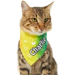 Frisco Rainbow Hearts Personalized Dog & Cat Bandana -Cat Toy Shop 267539 PT6. AC SS1800 V1632420703