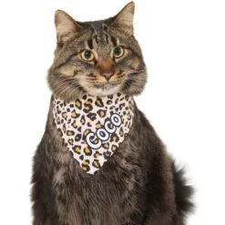 Frisco Leopard Print Personalized Dog & Cat Bandana -Cat Toy Shop 267543 PT8. AC SS1800 V1623164342