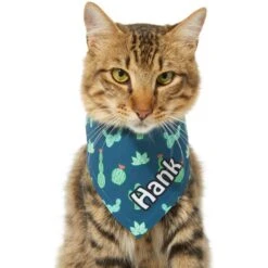 Frisco Cactus Personalized Dog & Cat Bandana -Cat Toy Shop 267551 PT8. AC SS1800 V1623164657
