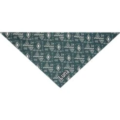 Frisco Boho Geo Personalized Dog & Cat Bandana -Cat Toy Shop 267559 PT3. AC SS1800 V1623094369
