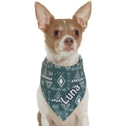 Frisco Boho Geo Personalized Dog & Cat Bandana -Cat Toy Shop 267559 PT7. AC SS1800 V1623164863