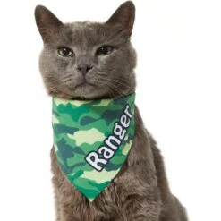 Frisco Green Camo Personalized Dog & Cat Bandana -Cat Toy Shop 267563 PT8. AC SS1800 V1623182074