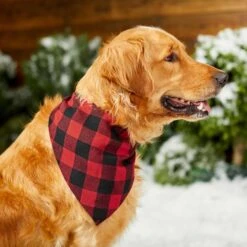 Red Buffalo Plaid Dog & Cat Bandana -Cat Toy Shop 267899 PT5. AC SS1800 V1637666506