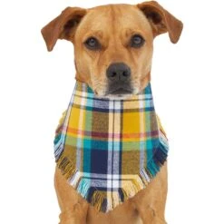 Frisco Blue/Yellow Plaid Dog & Cat Flannel Bandana -Cat Toy Shop 267901 PT2. AC SS1800 V1637717796