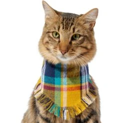 Frisco Blue/Yellow Plaid Dog & Cat Flannel Bandana -Cat Toy Shop 267901 PT3. AC SS1800 V1637677287