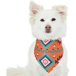 Frisco Southwest Dog & Cat Bandana 10 Frisco Southwest Dog & Cat Bandana -Cat Toy Shop 267904 PT2. AC SS1800 V1637708793