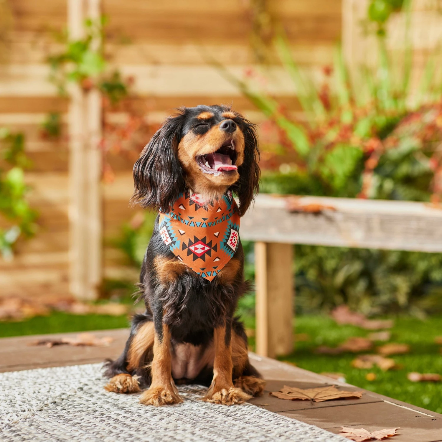 Frisco Southwest Dog & Cat Bandana 6 Frisco Southwest Dog & Cat Bandana - Image 6