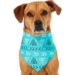Frisco Geometric Dog & Cat Bandana -Cat Toy Shop 267907 PT2. AC SS1800 V1637653589