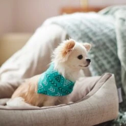 Frisco Geometric Dog & Cat Bandana -Cat Toy Shop 267907 PT5. AC SS1800 V1637652153