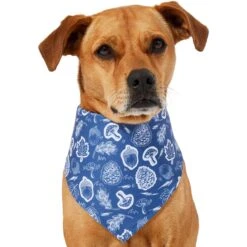 Frisco Fall Vibes Dog & Cat Bandana -Cat Toy Shop 267913 PT2. AC SS1800 V1637722647