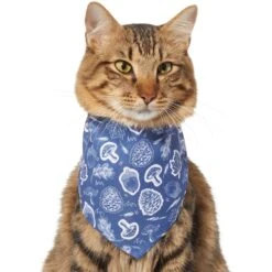 Frisco Fall Vibes Dog & Cat Bandana -Cat Toy Shop 267913 PT3. AC SS1800 V1637729806