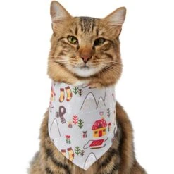 Frisco Wintry Vibes Dog & Cat Bandana -Cat Toy Shop 267916 PT3. AC SS1800 V1637657814