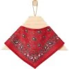 Frisco Red Paisley Dog & Cat Bandana