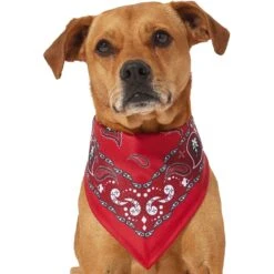 Frisco Red Paisley Dog & Cat Bandana -Cat Toy Shop 267919 PT2. AC SS1800 V1637669854