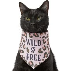 Frisco Pink Leopard Dog & Cat Bandana -Cat Toy Shop 267922 PT3. AC SS1800 V1637687868