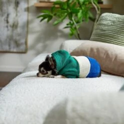 Frisco Colorblock Dog & Cat Hoodie With Sleeves -Cat Toy Shop 267968 PT8. AC SS1800 V1629760135