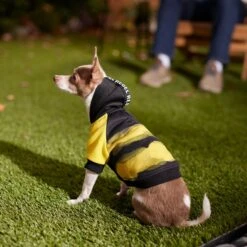 Frisco Rebel Dog & Cat Hoodie -Cat Toy Shop 267994 PT8. AC SS1800 V1629758309