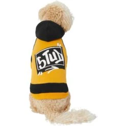 Frisco Stud Dog & Cat Hoodie -Cat Toy Shop 268002 PT2. AC SS1800 V1637687010