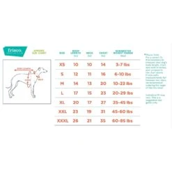 Frisco Doggiesaurus Dog & Cat Hoodie, Green -Cat Toy Shop 268033 PT1. AC SS1800 V1637682135