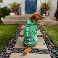 Frisco Doggiesaurus Dog & Cat Hoodie, Green -Cat Toy Shop 268033 PT8. AC SS1800 V1629763006