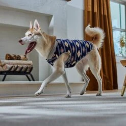 Frisco Lightweight Southwest Dog & Cat Polar Fleece Vest -Cat Toy Shop 268167 PT8. AC SS1800 V1629756292