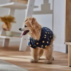 Frisco Lightweight Gold Dotted Dog & Cat Jacket, Navy -Cat Toy Shop 268247 PT8. AC SS1800 V1629758988