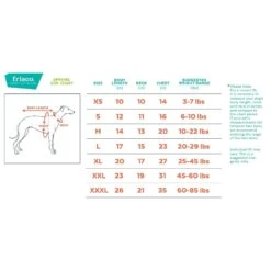 Frisco Lightweight Packable Insulated Dog & Cat Quilted Puffer Coat, Ocean Teal -Cat Toy Shop 268280 PT1. AC SS1800 V1628637706