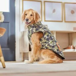 Frisco Mediumweight Camo Print Insulated Dog & Cat Zippered Coat, Green -Cat Toy Shop 268295 PT8. AC SS1800 V1629755320