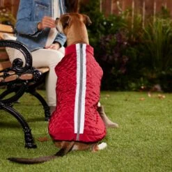 Frisco Mediumweight Reflective 2-in-1 Dog & Cat Fleece Coat -Cat Toy Shop 268359 PT8. AC SS1800 V1629759326