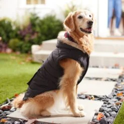 Frisco Mid-Heavyweight Cinching Insulated Dog & Cat Parka, Black/Red Plaid -Cat Toy Shop 268382 PT8. AC SS1800 V1629762008