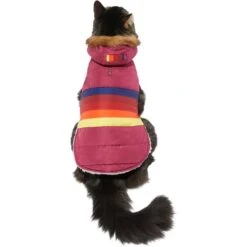 Frisco Mediumweight Colorblock Adventure Insulated Dog & Cat Parka -Cat Toy Shop 268421 PT2. AC SS1800 V1628779779